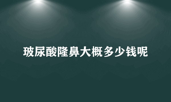 玻尿酸隆鼻大概多少钱呢