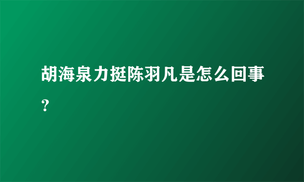 胡海泉力挺陈羽凡是怎么回事？