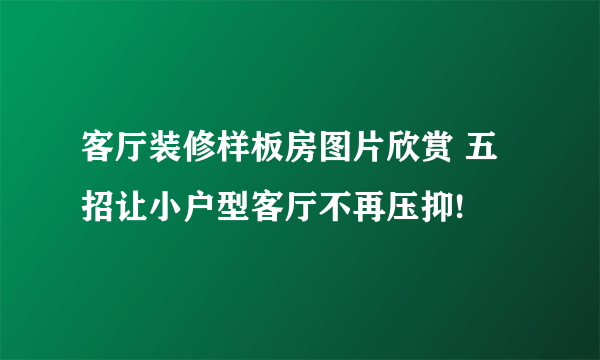 客厅装修样板房图片欣赏 五招让小户型客厅不再压抑!