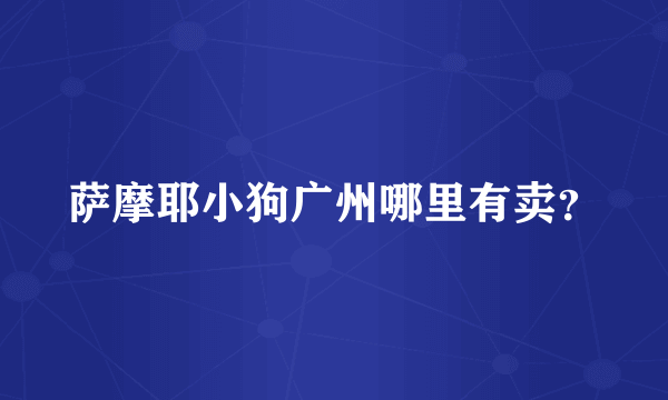 萨摩耶小狗广州哪里有卖？