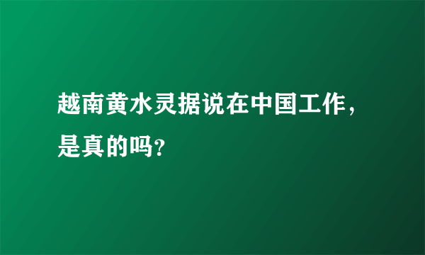 越南黄水灵据说在中国工作，是真的吗？