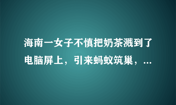 海南一女子不慎把奶茶溅到了电脑屏上，引来蚂蚁筑巢，这种情况该如何应对？