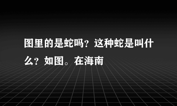 图里的是蛇吗？这种蛇是叫什么？如图。在海南