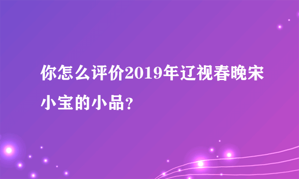 你怎么评价2019年辽视春晚宋小宝的小品？