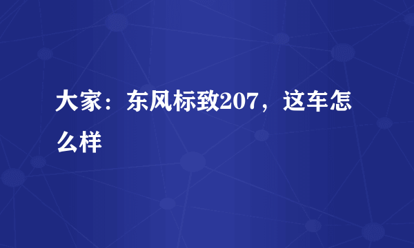 大家：东风标致207，这车怎么样