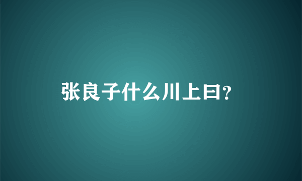 张良子什么川上曰？