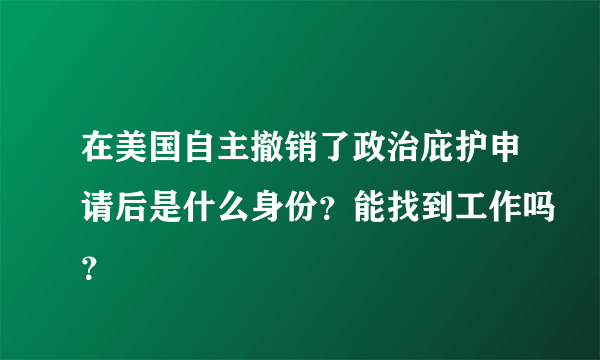 在美国自主撤销了政治庇护申请后是什么身份？能找到工作吗？