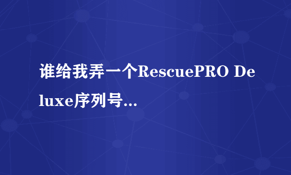 谁给我弄一个RescuePRO Deluxe序列号？谢谢啊