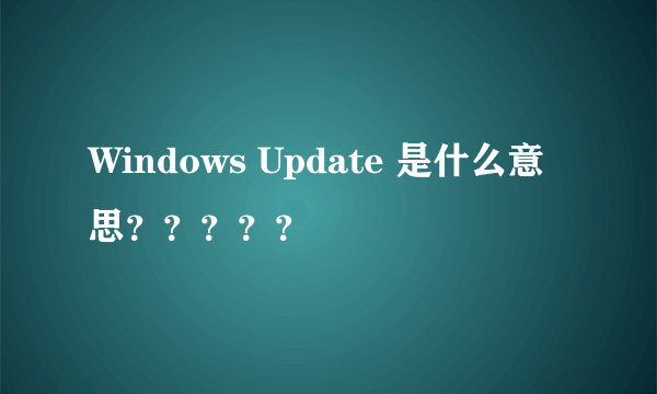 Windows Update 是什么意思？？？？？