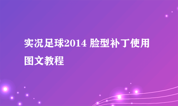 实况足球2014 脸型补丁使用图文教程