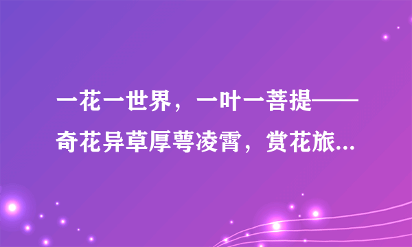 一花一世界，一叶一菩提——奇花异草厚萼凌霄，赏花旅游花语传说