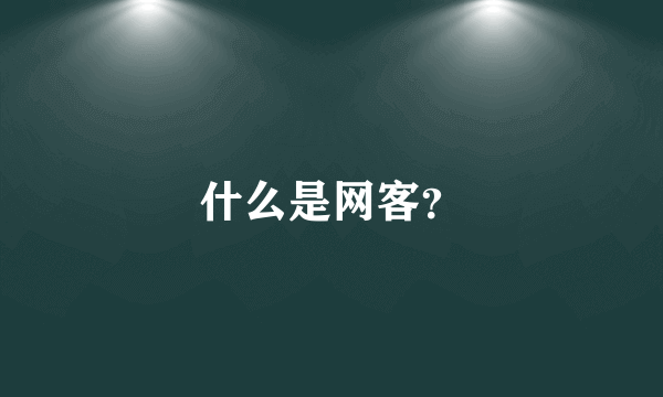 什么是网客？