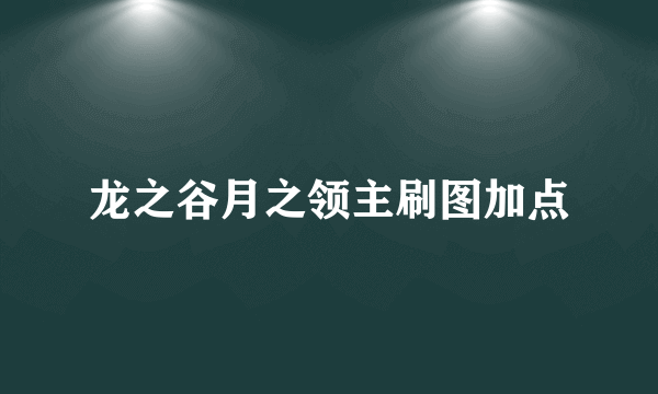 龙之谷月之领主刷图加点