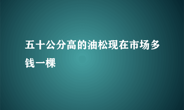 五十公分高的油松现在市场多钱一棵