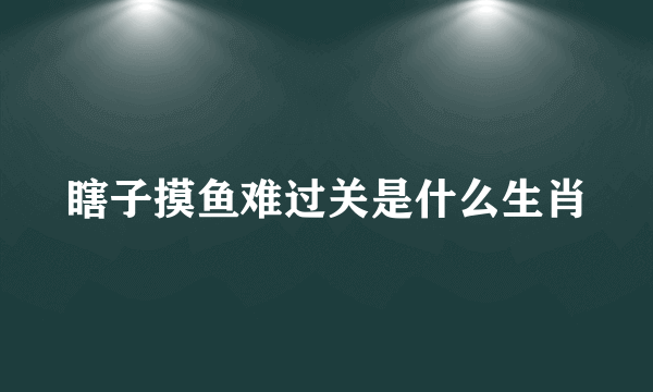 瞎子摸鱼难过关是什么生肖