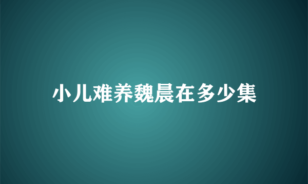 小儿难养魏晨在多少集