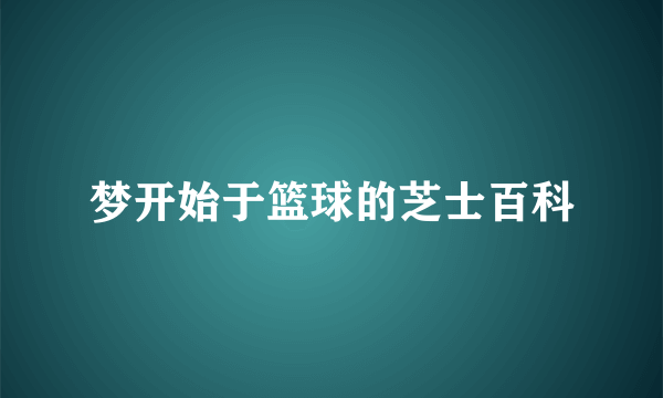 梦开始于篮球的芝士百科