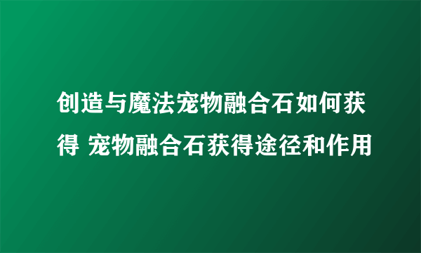 创造与魔法宠物融合石如何获得 宠物融合石获得途径和作用