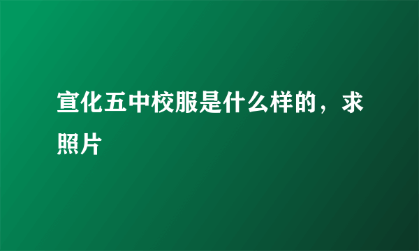 宣化五中校服是什么样的，求照片