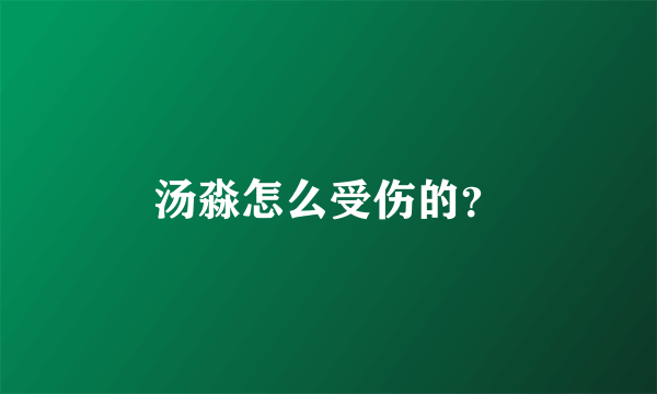 汤淼怎么受伤的？