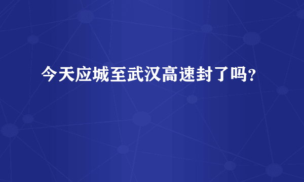 今天应城至武汉高速封了吗？