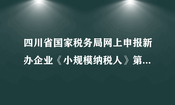 四川省国家税务局网上申报新办企业《小规模纳税人》第一次网上报税密码是多少？