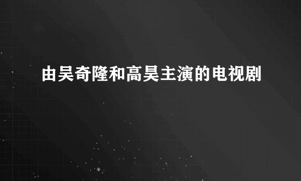 由吴奇隆和高昊主演的电视剧