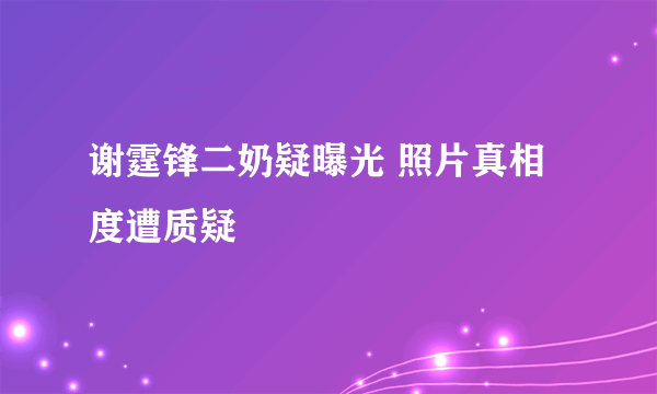 谢霆锋二奶疑曝光 照片真相度遭质疑