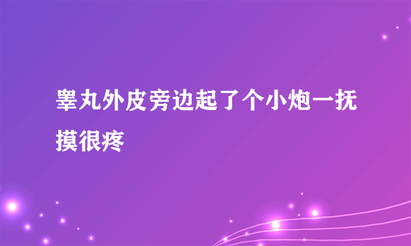 睾丸外皮旁边起了个小炮一抚摸很疼