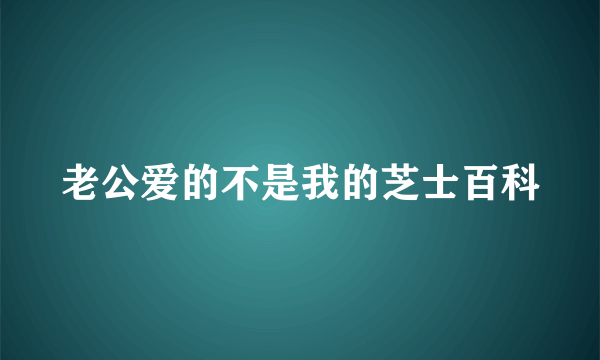 老公爱的不是我的芝士百科