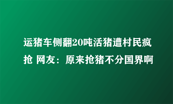 运猪车侧翻20吨活猪遭村民疯抢 网友：原来抢猪不分国界啊