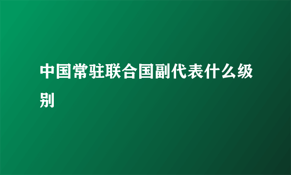 中国常驻联合国副代表什么级别