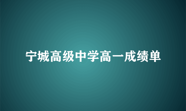 宁城高级中学高一成绩单