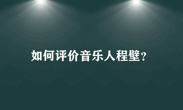 如何评价音乐人程壁？