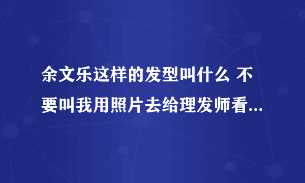 余文乐这样的发型叫什么 不要叫我用照片去给理发师看 我要的是这种发型的名字..越详细越好！好的加分。