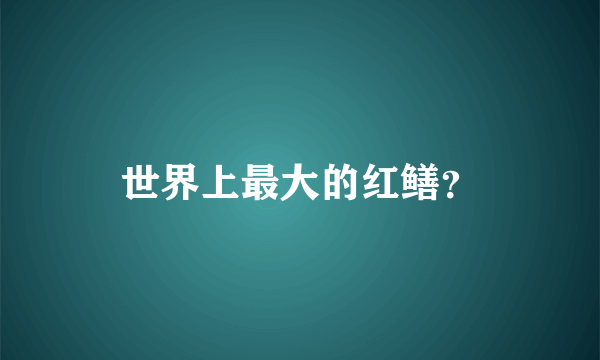 世界上最大的红鳝？