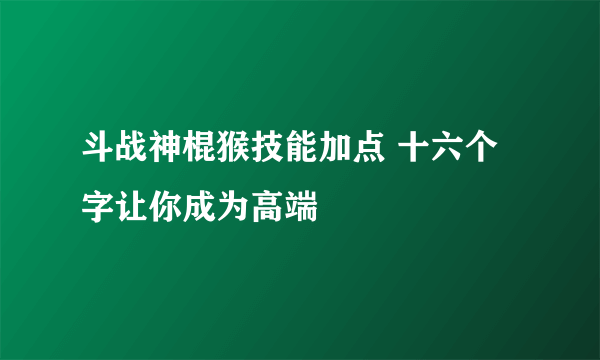 斗战神棍猴技能加点 十六个字让你成为高端