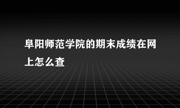 阜阳师范学院的期末成绩在网上怎么查