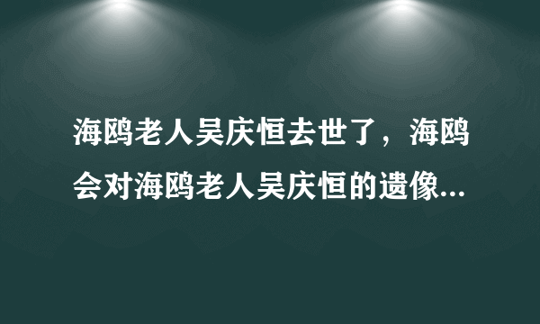 海鸥老人吴庆恒去世了，海鸥会对海鸥老人吴庆恒的遗像说什么呢？