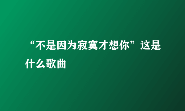 “不是因为寂寞才想你”这是什么歌曲