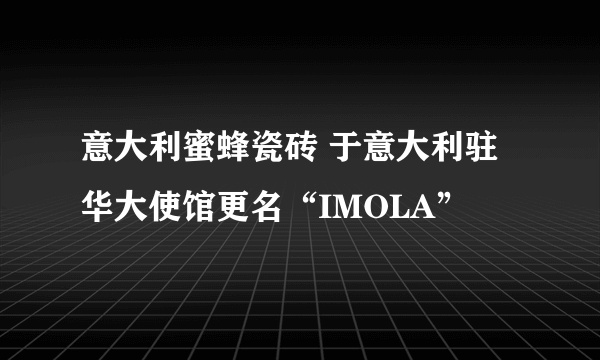 意大利蜜蜂瓷砖 于意大利驻华大使馆更名“IMOLA”