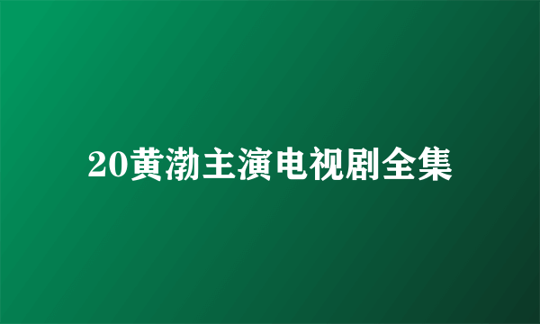 20黄渤主演电视剧全集