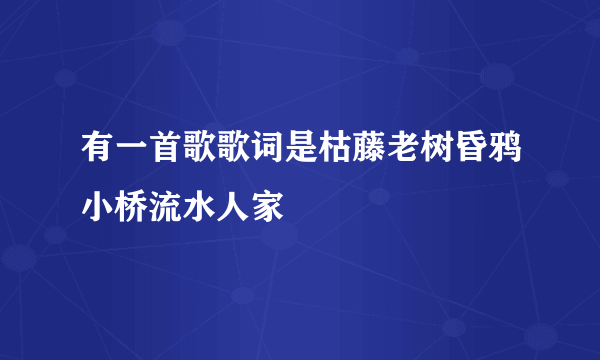 有一首歌歌词是枯藤老树昏鸦小桥流水人家