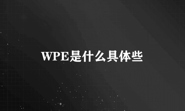 WPE是什么具体些