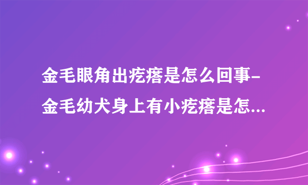 金毛眼角出疙瘩是怎么回事-金毛幼犬身上有小疙瘩是怎么回事怎么治疗？