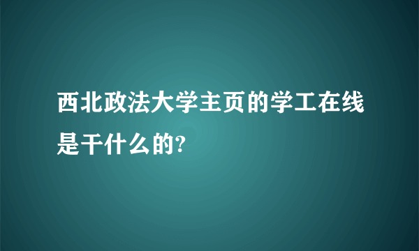 西北政法大学主页的学工在线是干什么的?