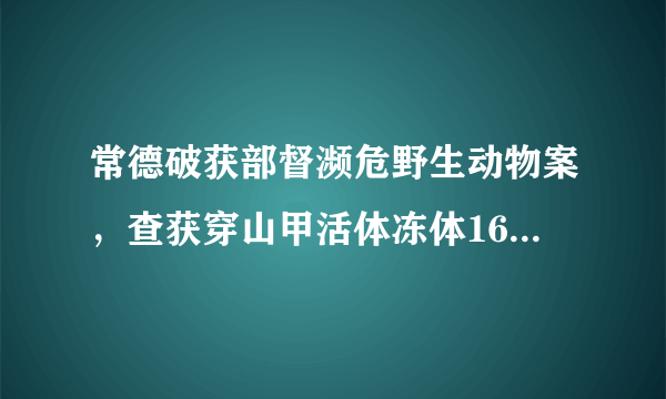 常德破获部督濒危野生动物案，查获穿山甲活体冻体160余只, 你怎么看？