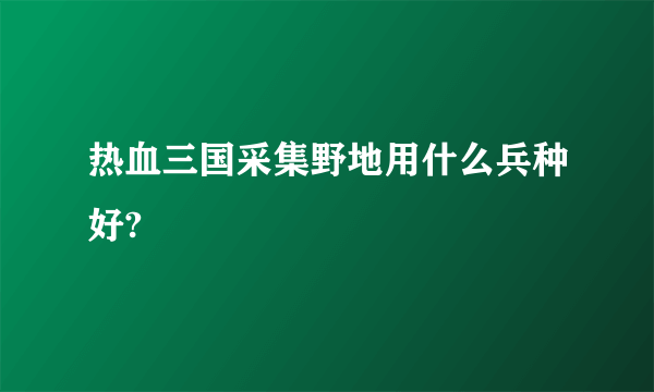 热血三国采集野地用什么兵种好?