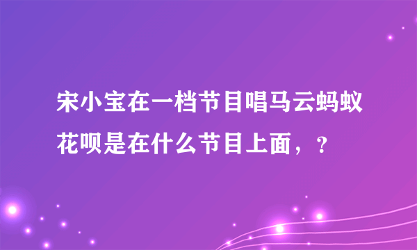 宋小宝在一档节目唱马云蚂蚁花呗是在什么节目上面，？