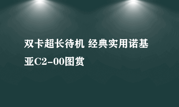 双卡超长待机 经典实用诺基亚C2-00图赏